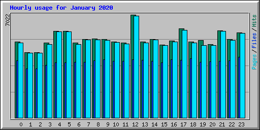 Hourly usage for January 2020