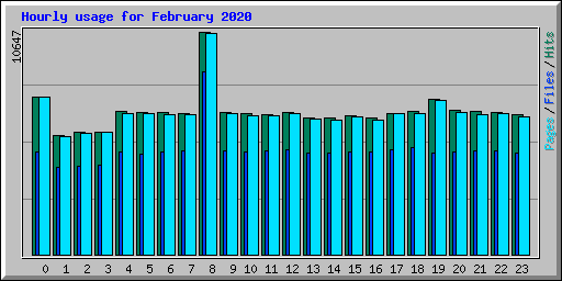 Hourly usage for February 2020