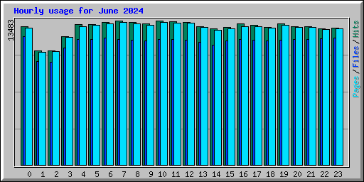 Hourly usage for June 2024