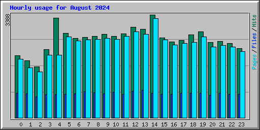 Hourly usage for August 2024