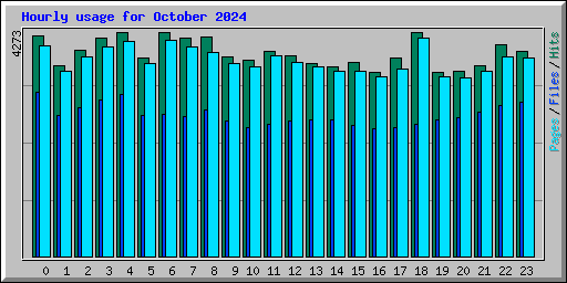 Hourly usage for October 2024