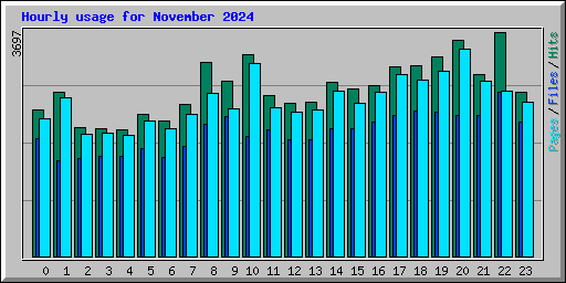 Hourly usage for November 2024