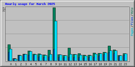 Hourly usage for March 2025