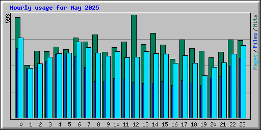 Hourly usage for May 2025