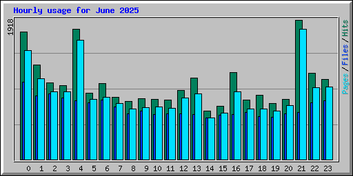 Hourly usage for June 2025