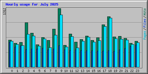 Hourly usage for July 2025