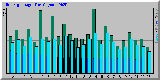 Hourly usage for August 2025