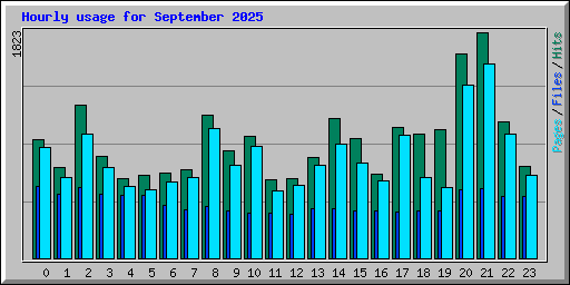 Hourly usage for September 2025
