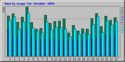 Hourly usage for October 2025