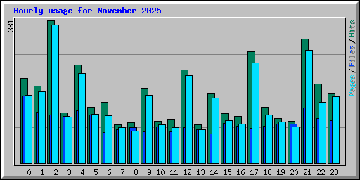Hourly usage for November 2025