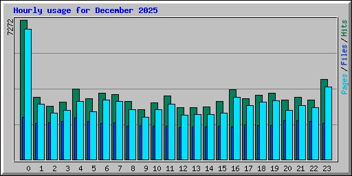 Hourly usage for December 2025
