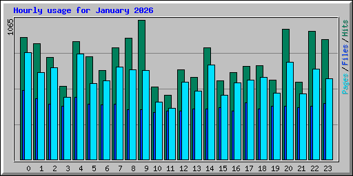 Hourly usage for January 2026