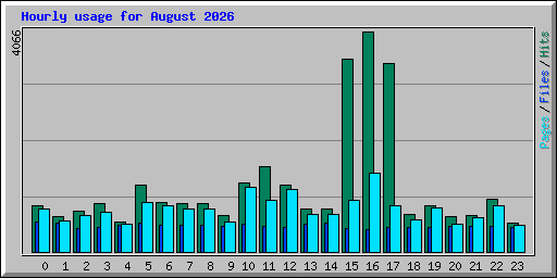 Hourly usage for August 2026